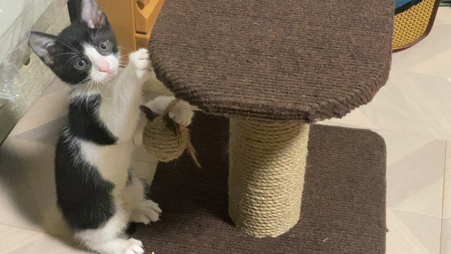 銀行提出資料作成な日曜日の記事動画