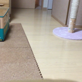 動画をふたつの画像