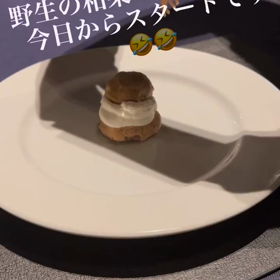 2023/09/22の画像