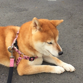 朝の出来事の画像