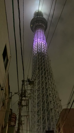 東京スカイツリー ライティングの記事動画