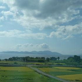いの画像