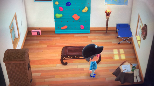 『どうぶつの森』はゲームの方がホラー。の記事動画