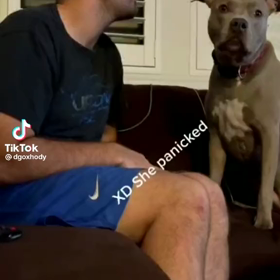 犬との生活の画像