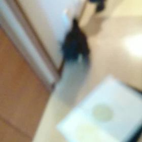 わんぱくの画像