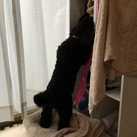 uschiの一人遊びの画像