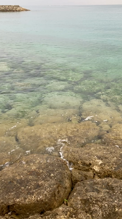 海の画像で癒されてください！の記事動画