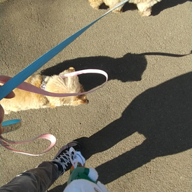 ３月９日の画像