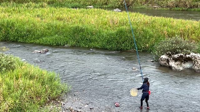 本日（１１日）足羽川釣果報告！の記事動画