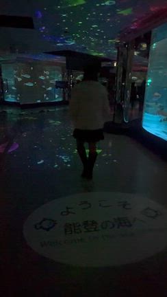 のとじま水族館の記事動画