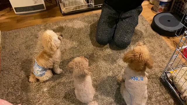 明けましておめでとうございます(*^^*)の記事動画