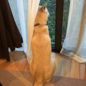 めいと湊翔の画像