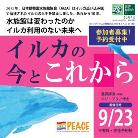 「世界動物の日」特別企画『イルカの今とこれから』の画像