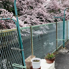 新しい１年の画像