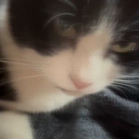 動画の画像