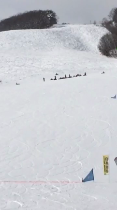 ついに…の記事動画