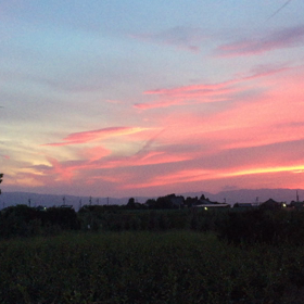 夕陽が綺麗すぎての画像