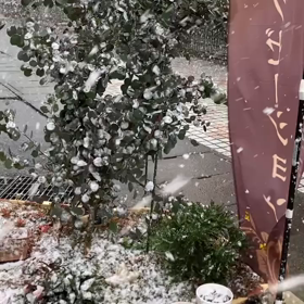 まだまだコロナ禍気を引き締めて✨の画像