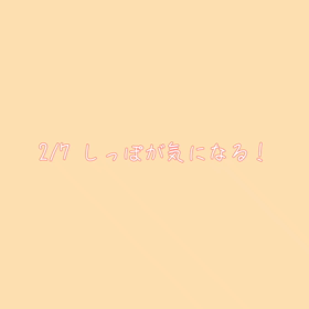 気になる、気になる。。。の画像