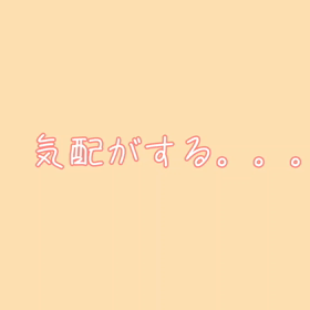 後ろからの画像