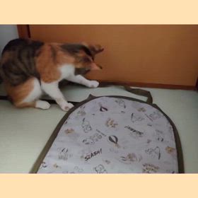 新年度スタート！の画像