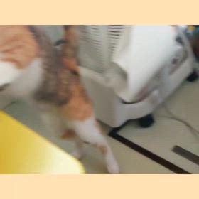 おじゃまします♪の画像