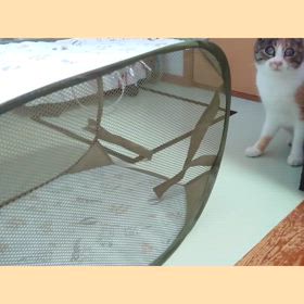 がぶがぶ〜の画像