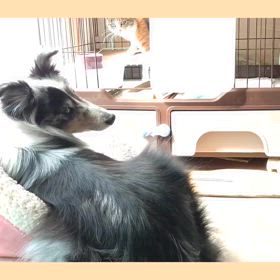 迷惑！の画像