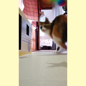 祭り終了〜の画像