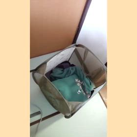 レベルアップの画像
