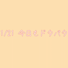 お利口さんの画像