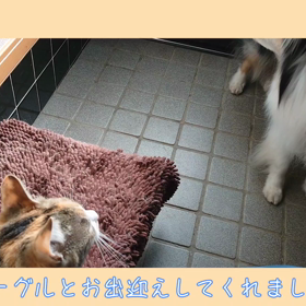 年末の番付の画像