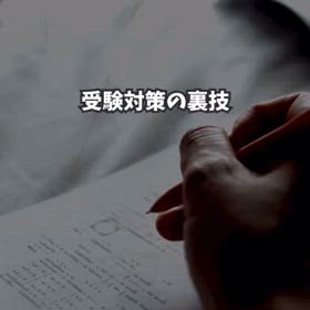 2025/02/09の画像