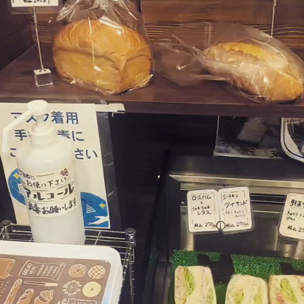 今日は水泳の日の記事動画