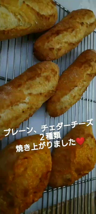 今日は寒天の日の記事動画