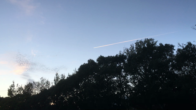 秋の雲の記事動画