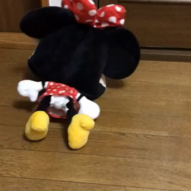 愛らしい♥️の画像