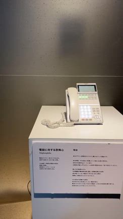 あなたは何が怖い？恐怖心展へ行ってきた！の記事動画