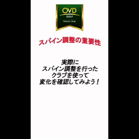 スパイン調整前/後の画像
