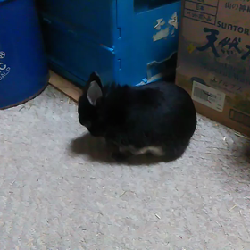 どん曇り···。の画像