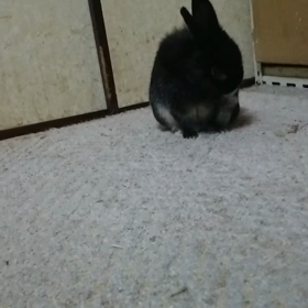 コイツ…。の画像