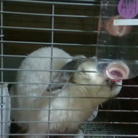 安全が確認できるまで・・・(^_^;)の画像