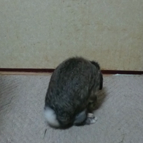 ひさしぶり・・・(^_^;)の画像