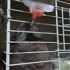 ちょっと動画の画像