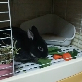 困りました…。の画像