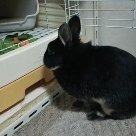 パパもだけど…。の画像