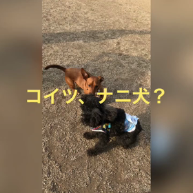 日曜日はいつもの所へ！の画像