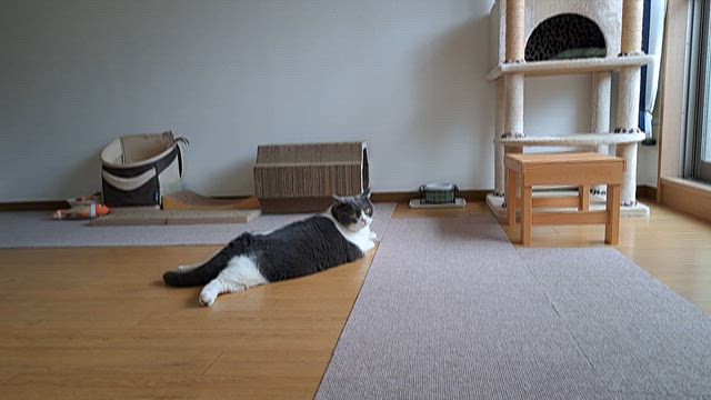 2月25日(水)今日はずっと雨ですの記事動画