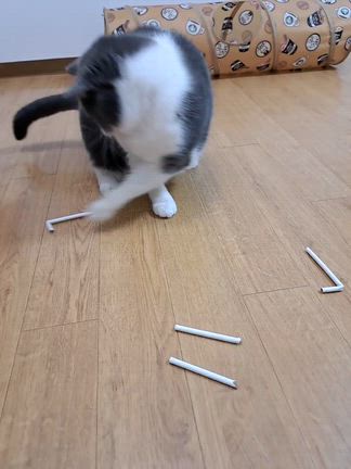 靴を買いましたの記事動画