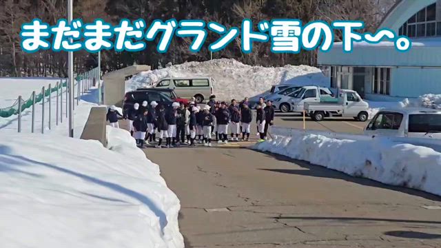 雪に負けない✊の記事動画
